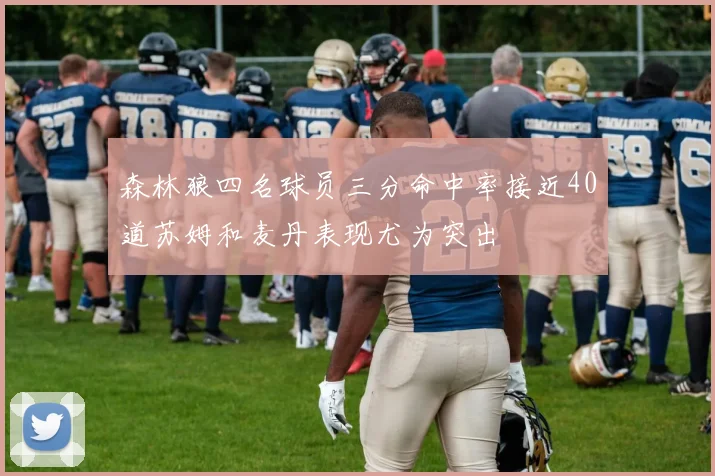 森林狼四名球员三分命中率接近40道苏姆和麦丹表现尤为突出
